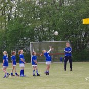 Ook de zwaluwen worden warm.